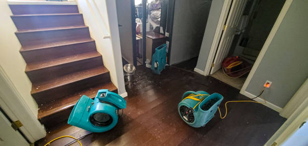 Best Water damage cleanup near me  in Pomona, NJ