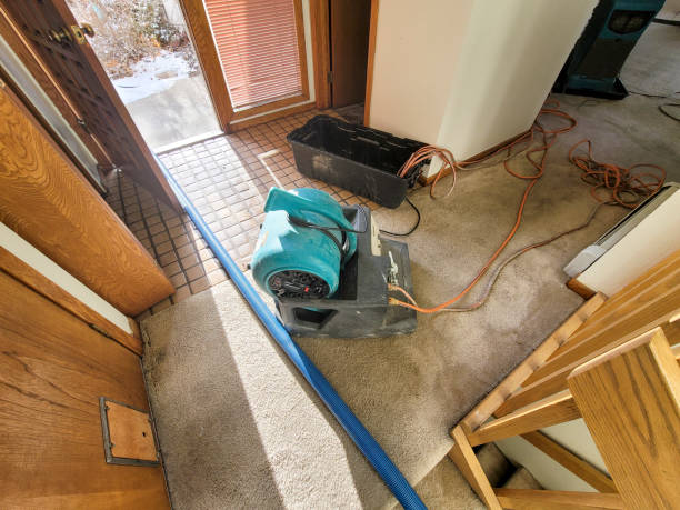 Best 24-hour water damage restoration  in Pomona, NJ