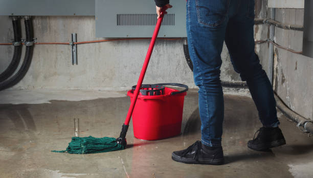  Pomona, NJ Water damage restoration Pros