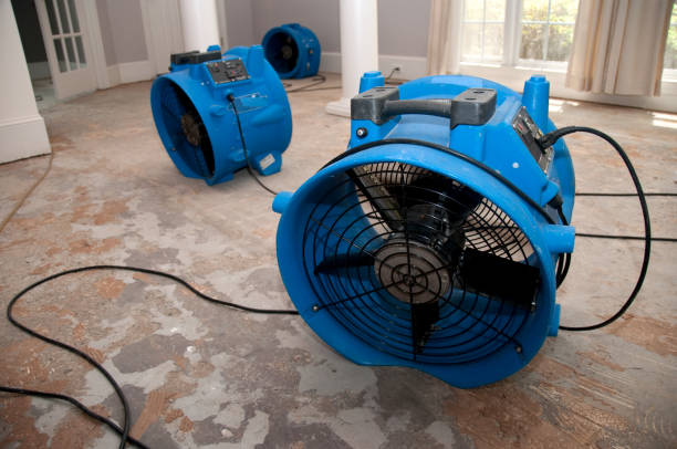 Best Emergency water damage restoration  in Pomona, NJ