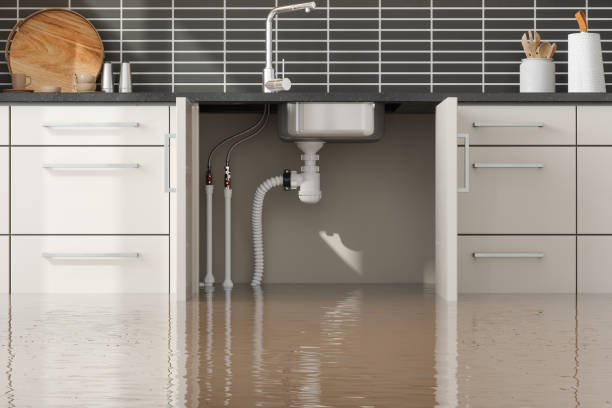Best Professional water damage repair  in Pomona, NJ